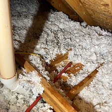 Water Line Reroute for a Leak-Free Home in Loxley, Al 3