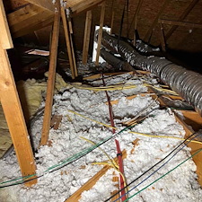 Water Line Reroute for a Leak-Free Home in Loxley, Al 4